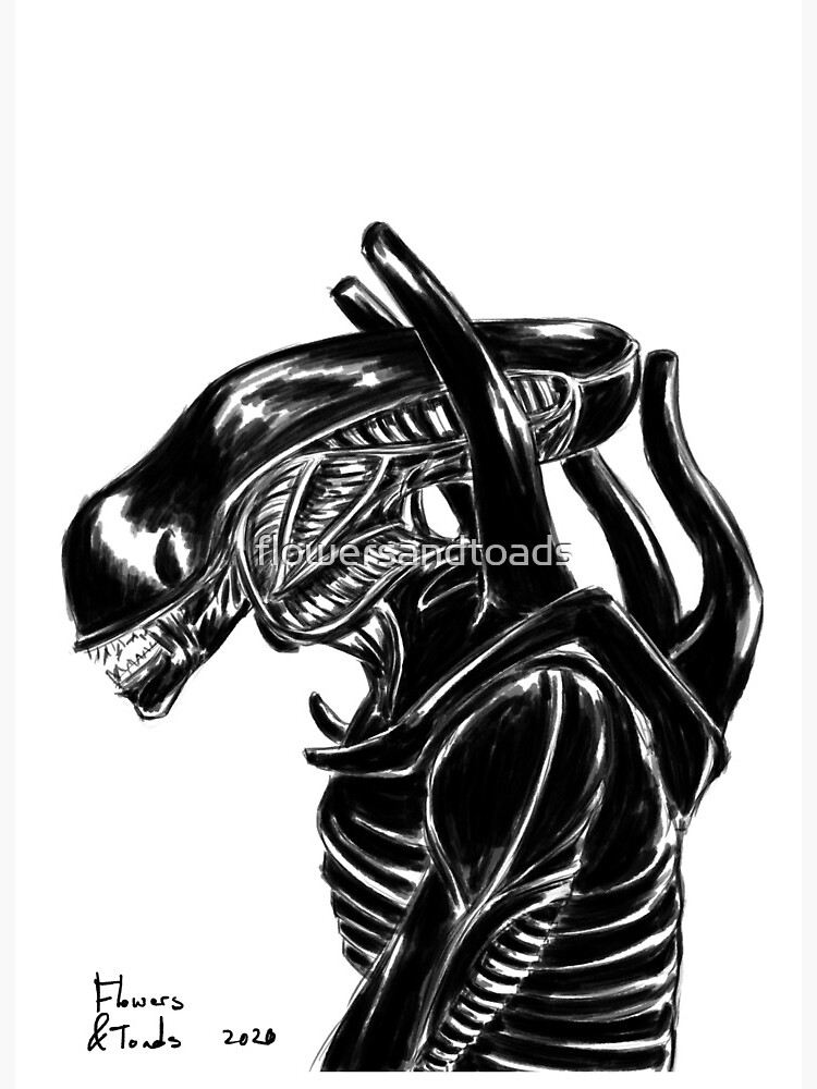 Xenomorph Skizze