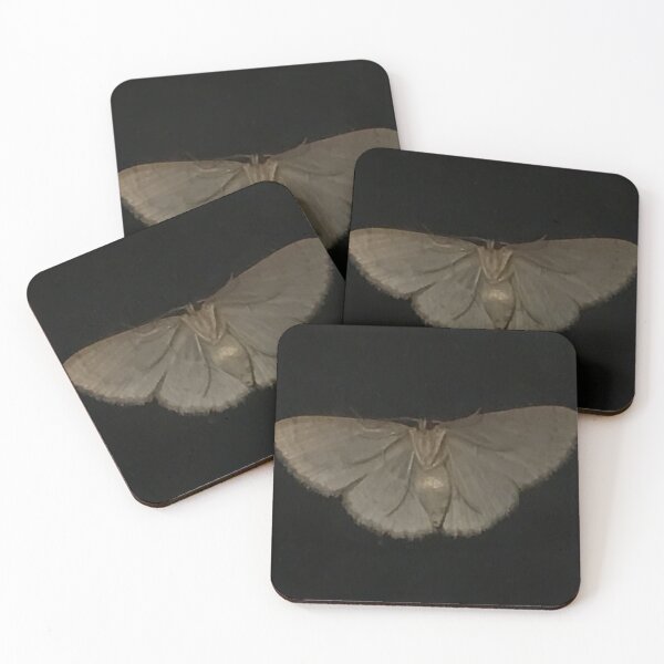 Item preview, Moth queen designed and sold by miles modine.