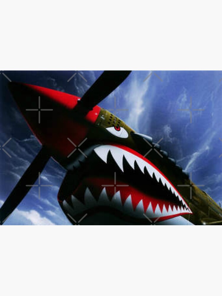 The Curtiss P-40 Warhawk Plane-American Fighter Aircraft by Matlgirl