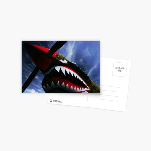 The Curtiss P-40 Warhawk Plane-American Fighter Aircraft Postcard