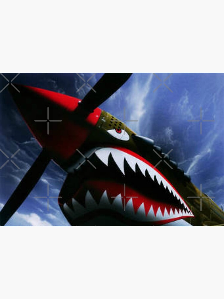 The Curtiss P-40 Warhawk Plane-American Fighter Aircraft by Matlgirl