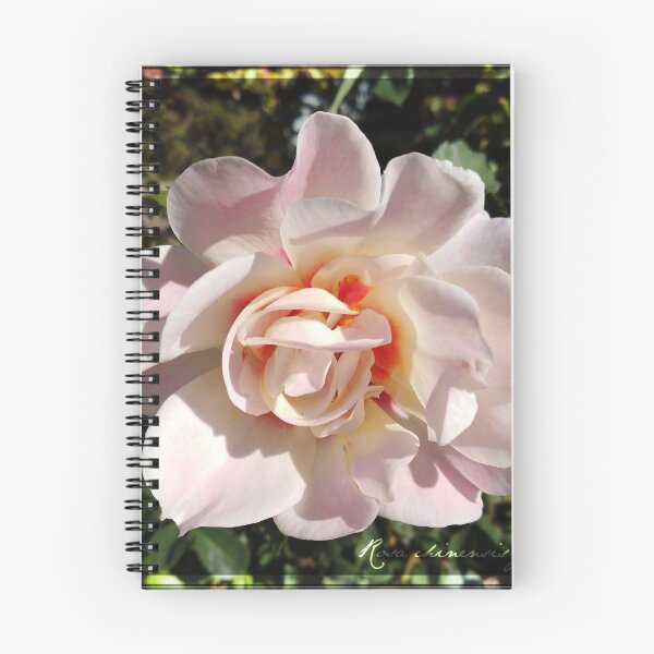 Item preview, Roses are White Radiance, Flower Photography designed and sold by TheArtOfWords.