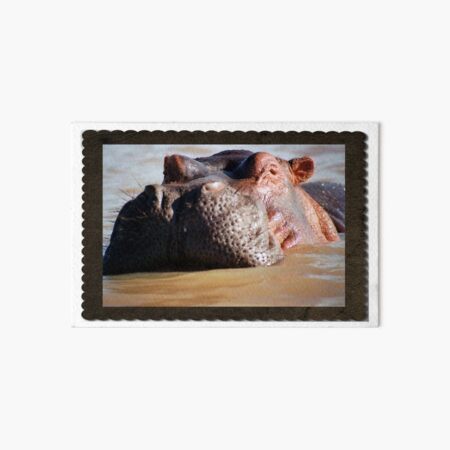 Hippo Art Board Print