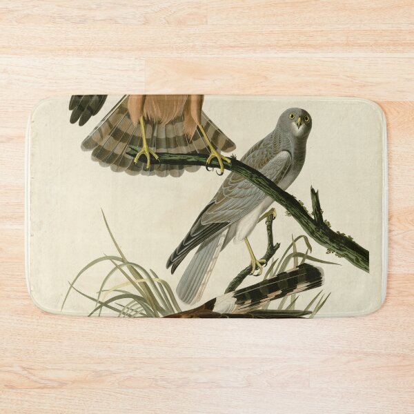 Item preview, 356 Marsh Hawk designed and sold by Bird-Lore.