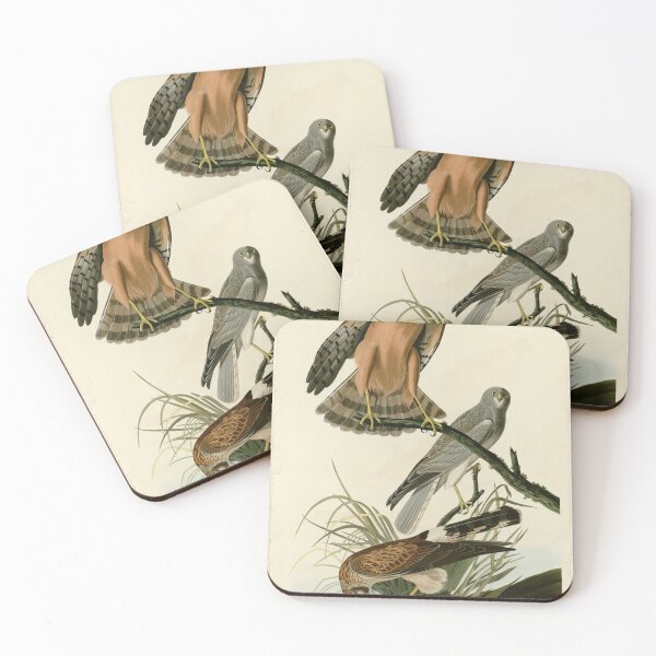 Item preview, 356 Marsh Hawk designed and sold by Bird-Lore.
