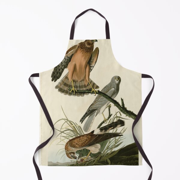 Item preview, 356 Marsh Hawk designed and sold by Bird-Lore.