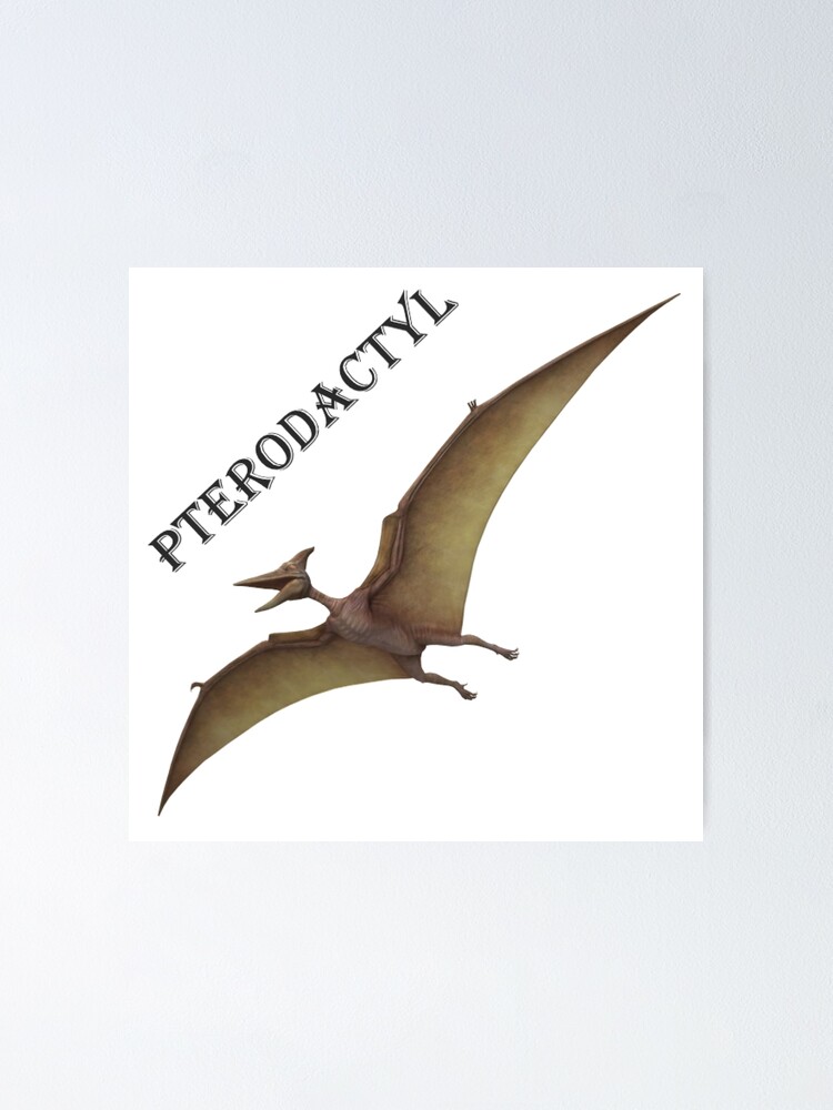 Pterodactyl Poster