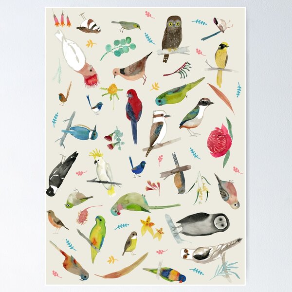 Item preview, Australian Birds designed and sold by JessesMess.