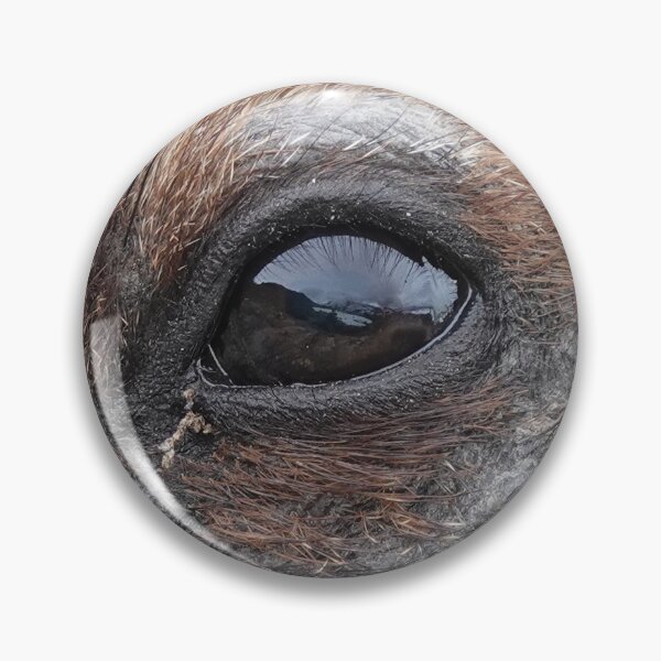 Item preview, Marmot in Mount Rainier National Park designed and sold by SDym Photography.
