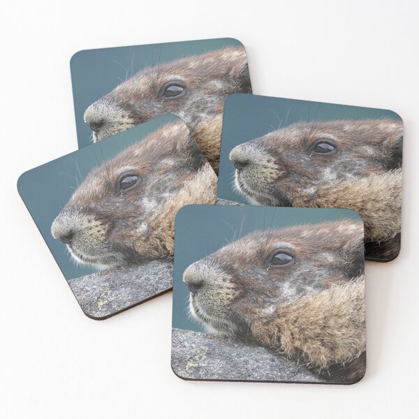 Item preview, Marmot in Mount Rainier National Park designed and sold by SDym Photography.