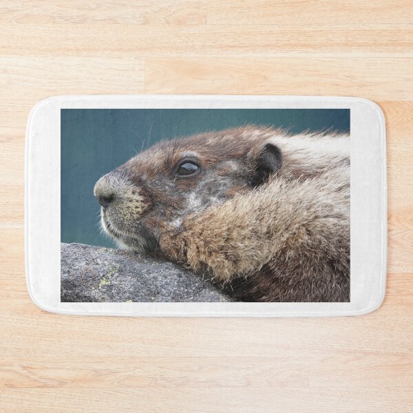 Item preview, Marmot in Mount Rainier National Park designed and sold by SDym Photography.