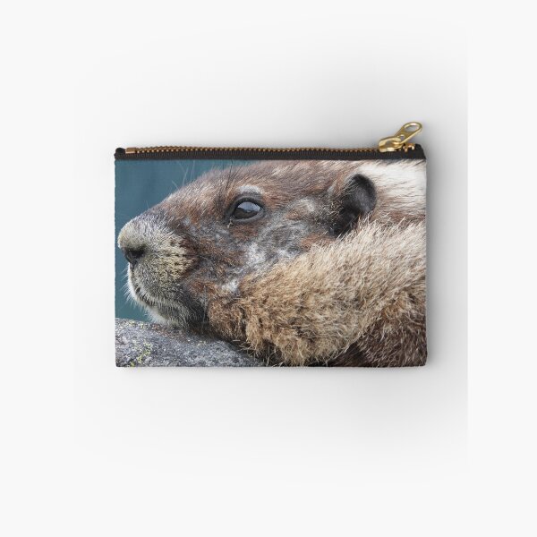 Item preview, Marmot in Mount Rainier National Park designed and sold by SDym Photography.
