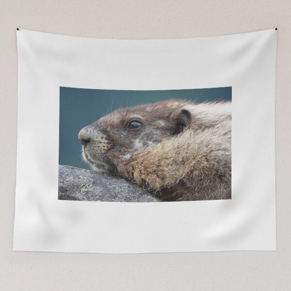 Item preview, Marmot in Mount Rainier National Park designed and sold by SDym Photography.