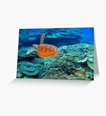 Reef Turtle Greeting Card
