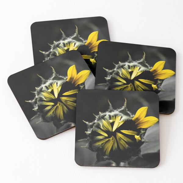 Item preview, Late to the party   designed and sold by photofreak56.
