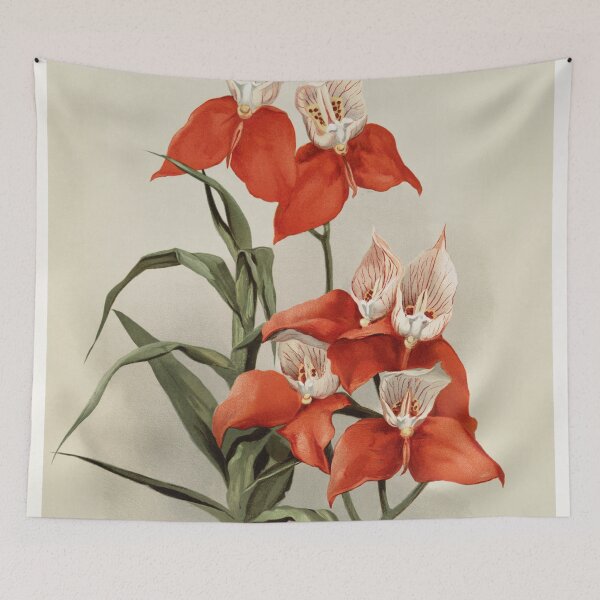 Item preview, Reichenbachia: Orchids Illustrated and Described designed and sold by EsotericBotanic.