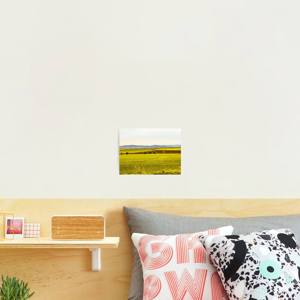 Item preview, Photographic Print designed and sold by bunlinked.