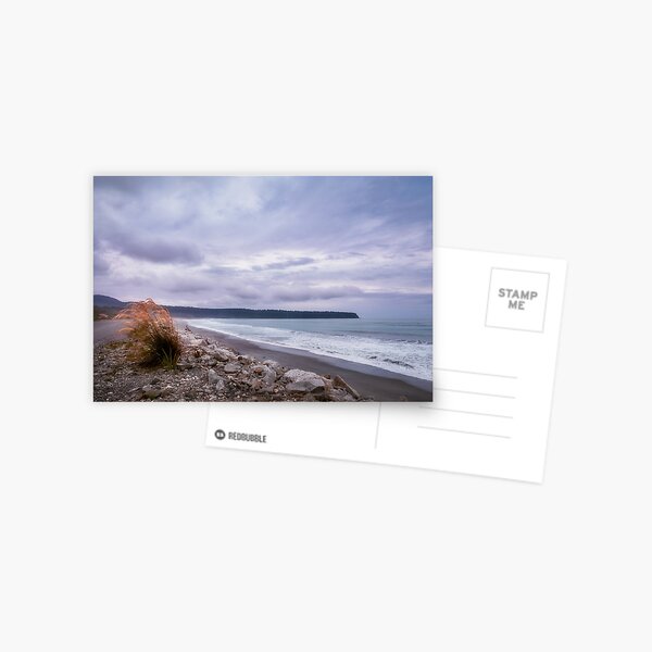 Windswept beach at Bruce Bay in New Zealand Postcard