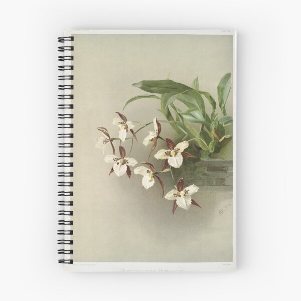 Item preview, Reichenbachia: Orchids Illustrated and Described designed and sold by EsotericBotanic.