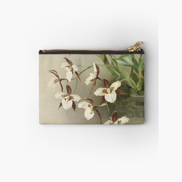 Item preview, Reichenbachia: Orchids Illustrated and Described designed and sold by EsotericBotanic.