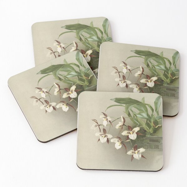 Item preview, Reichenbachia: Orchids Illustrated and Described designed and sold by EsotericBotanic.