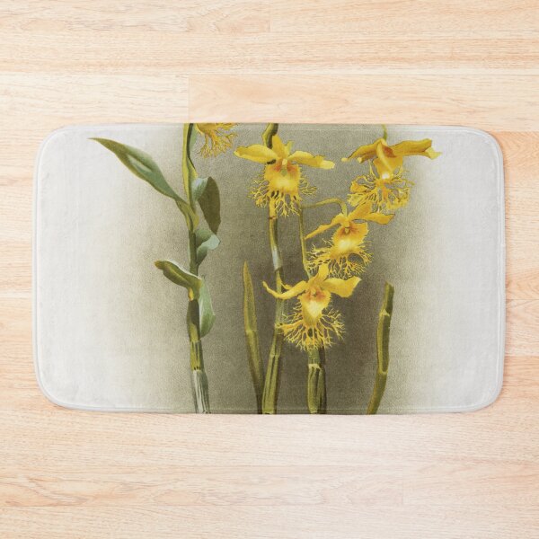 Item preview, Reichenbachia: Orchids Illustrated and Described designed and sold by EsotericBotanic.