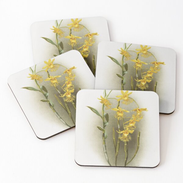 Item preview, Reichenbachia: Orchids Illustrated and Described designed and sold by EsotericBotanic.