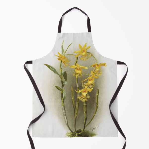 Item preview, Reichenbachia: Orchids Illustrated and Described designed and sold by EsotericBotanic.