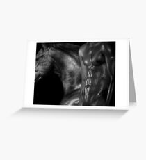Black Horse Greeting Card
