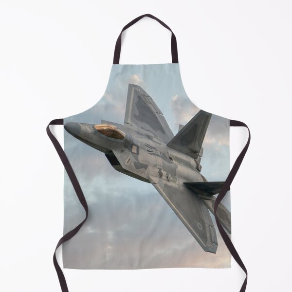 Item preview, F22 Raptor designed and sold by Steve H Clark.