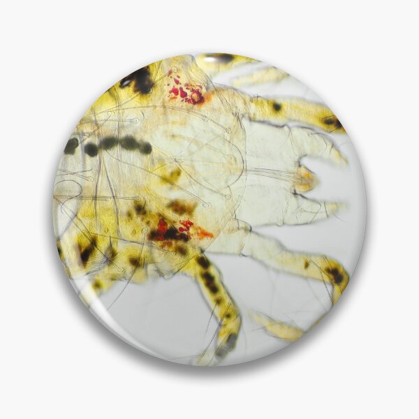 Item preview, Spider mite under the microscope designed and sold by SDym Photography.