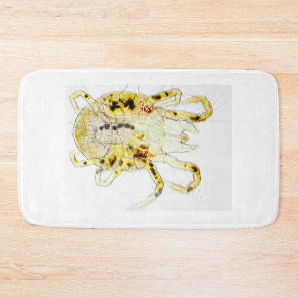 Item preview, Spider mite under the microscope designed and sold by SDym Photography.