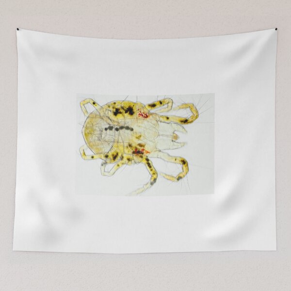 Item preview, Spider mite under the microscope designed and sold by SDym Photography.