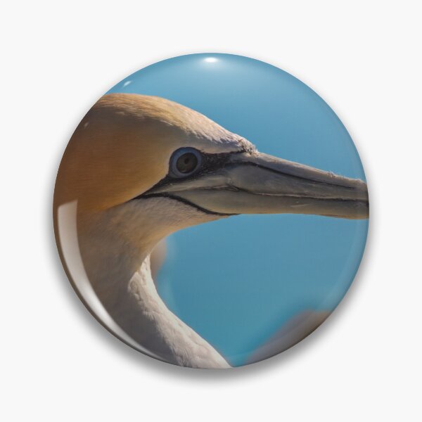 Item preview, Gannet profile designed and sold by DVart-nz.