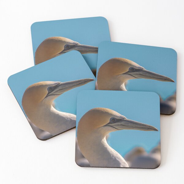 Item preview, Gannet profile designed and sold by DVart-nz.