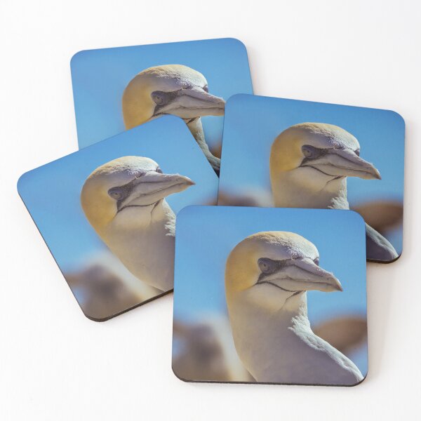 Item preview, Australasian Gannet Portrait designed and sold by DVart-nz.