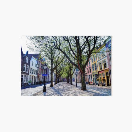 Hooglandse Kerkgracht Leiden Netherlands Art Board Print
