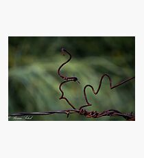 Twisted Photographic Print