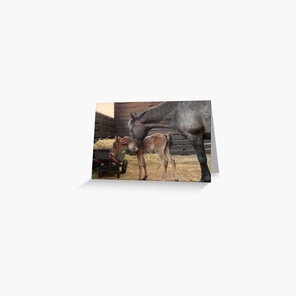 Janey & Baby Greeting Card