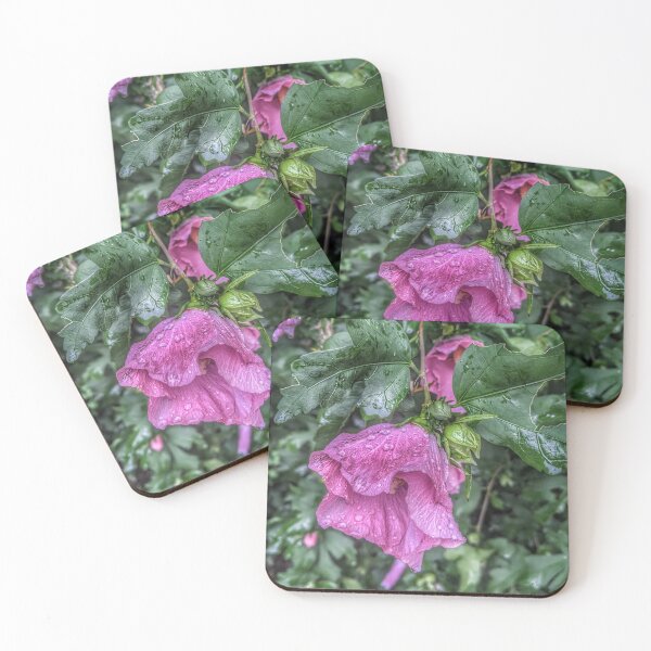 Aperçu de l'œuvre Rose de Sharon II créée et vendue par giftoftradition.