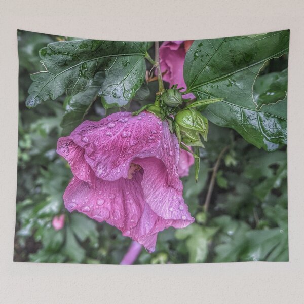 Item preview, Rose of Sharon II designed and sold by giftoftradition.
