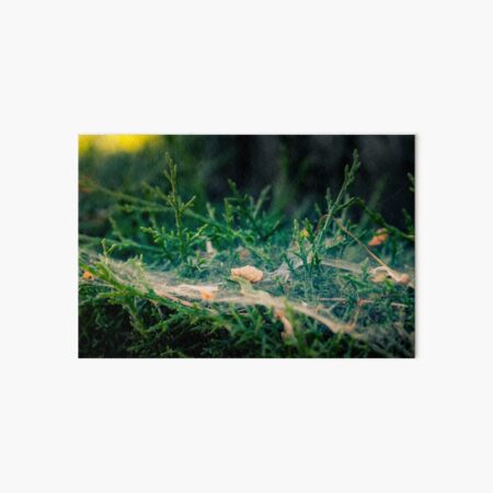 Web Development Art Board Print