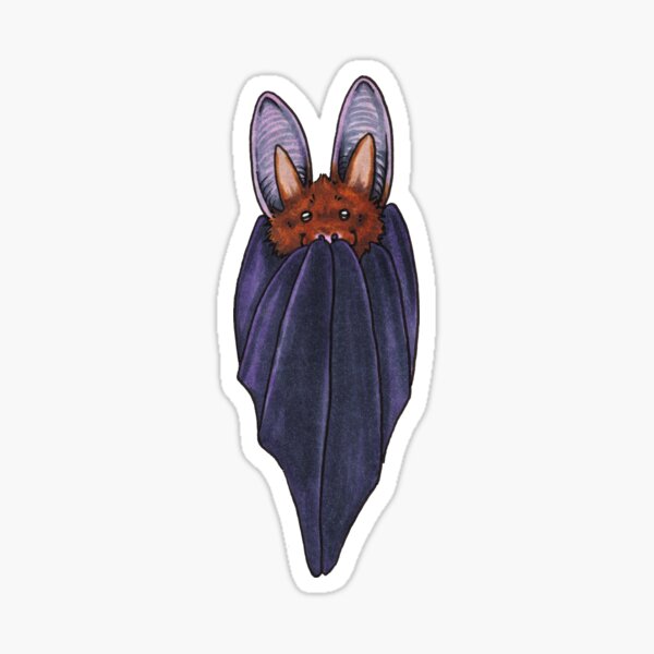 Shy Cute Bat Sticker