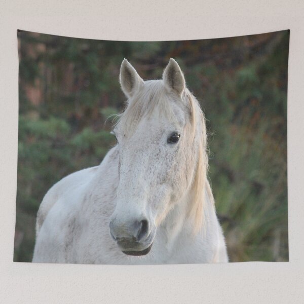 Item preview, Dapple Gray White Horse designed and sold by KarenWoodArt.