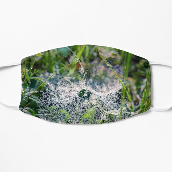 Dewy Web Flat Mask