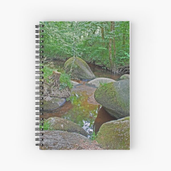 Aperçu de l'œuvre Foret d'Huelgoat Brittany France créée et vendue par Buckwhite.