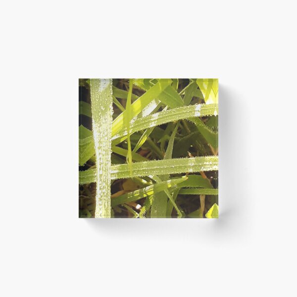 Item preview, Morning dew on bright green grass designed and sold by Emma  Amies.