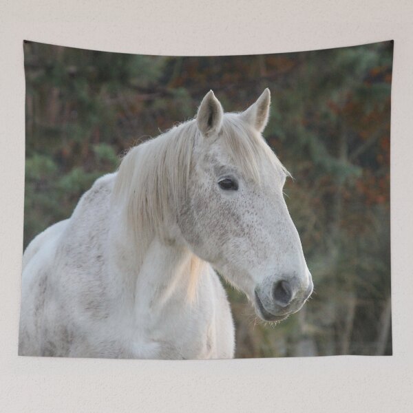 Item preview, Dapple Gray White Horse Profile designed and sold by KarenWoodArt.