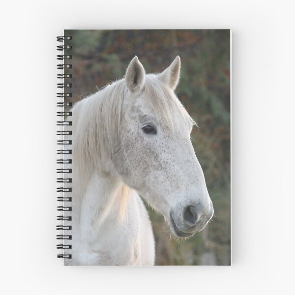 Item preview, Dapple Gray White Horse Profile designed and sold by KarenWoodArt.