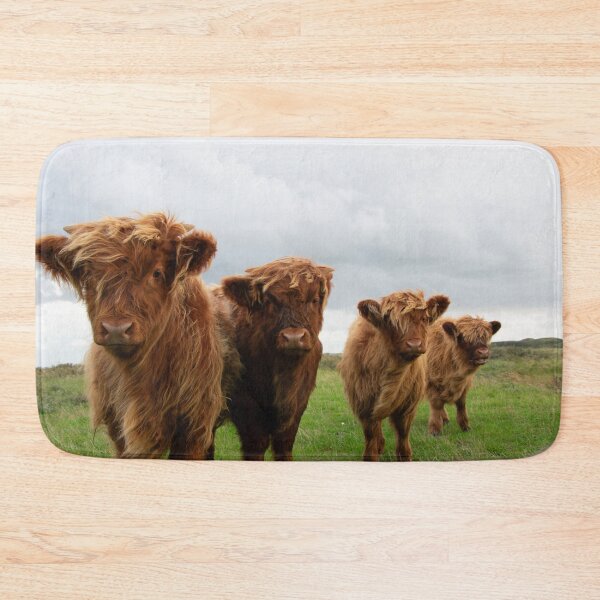 Item preview, Highlander calfs standing in a line designed and sold by koalas1414.